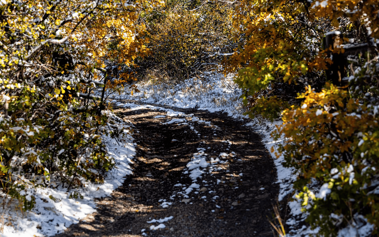 WOODY CREEK